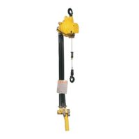 ehw wire rope air hoist